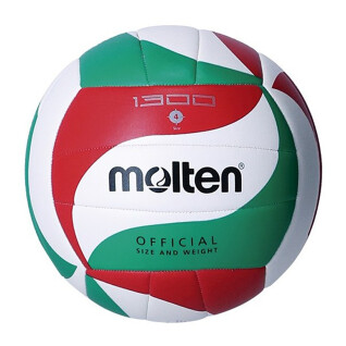 Bola de voleibol Molten 1300