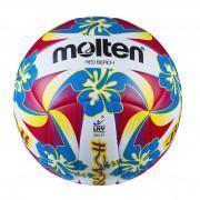 Conjunto de 5 balões Molten Beach-volley 